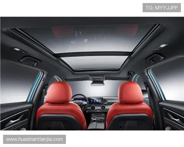 K8真人馆的安全性与隐私保护措施,保障玩家信息安全的详细介绍