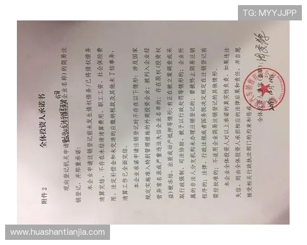 凯发登录入口地址官方公告，确保用户安全登录体验持续优化升级