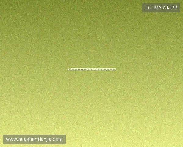 K8凯发一触即发引企：世界杯期间热门球队战术解析与比赛亮点回顾